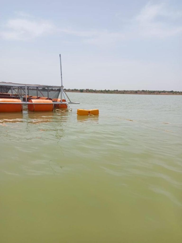 Cages flottantes sur le barrage de Soum