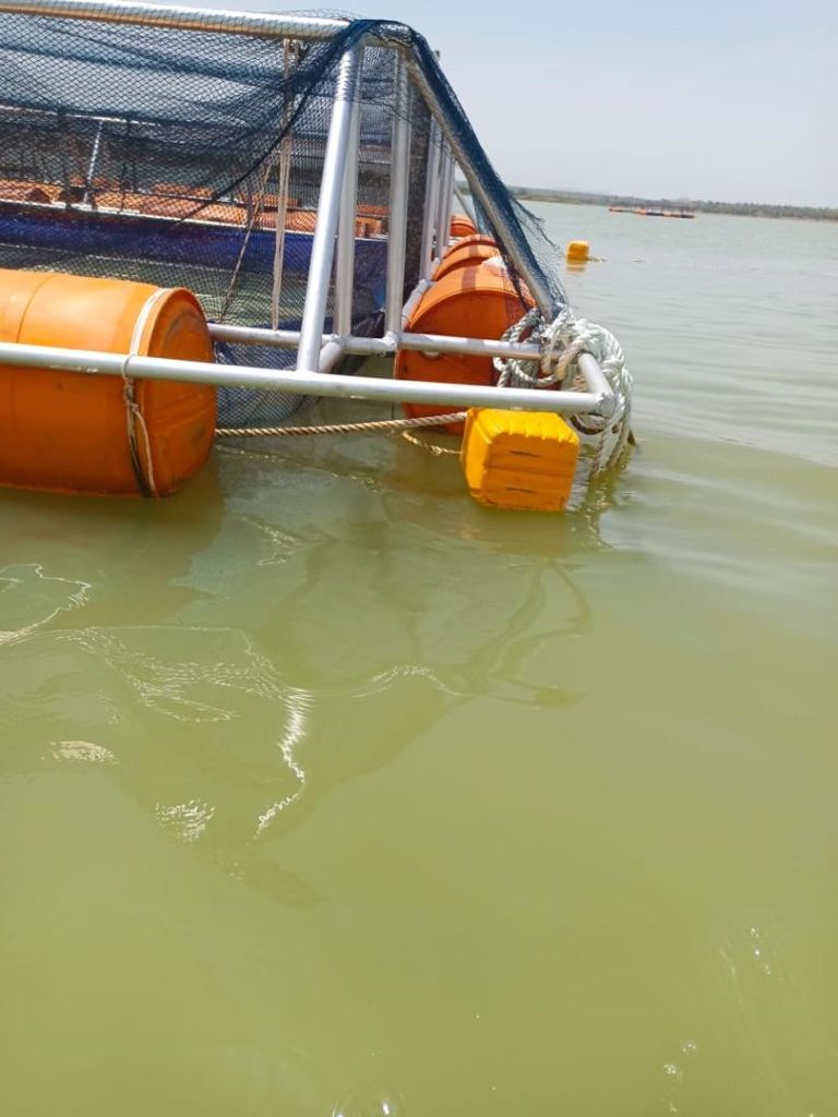 Expansion des infrastructures