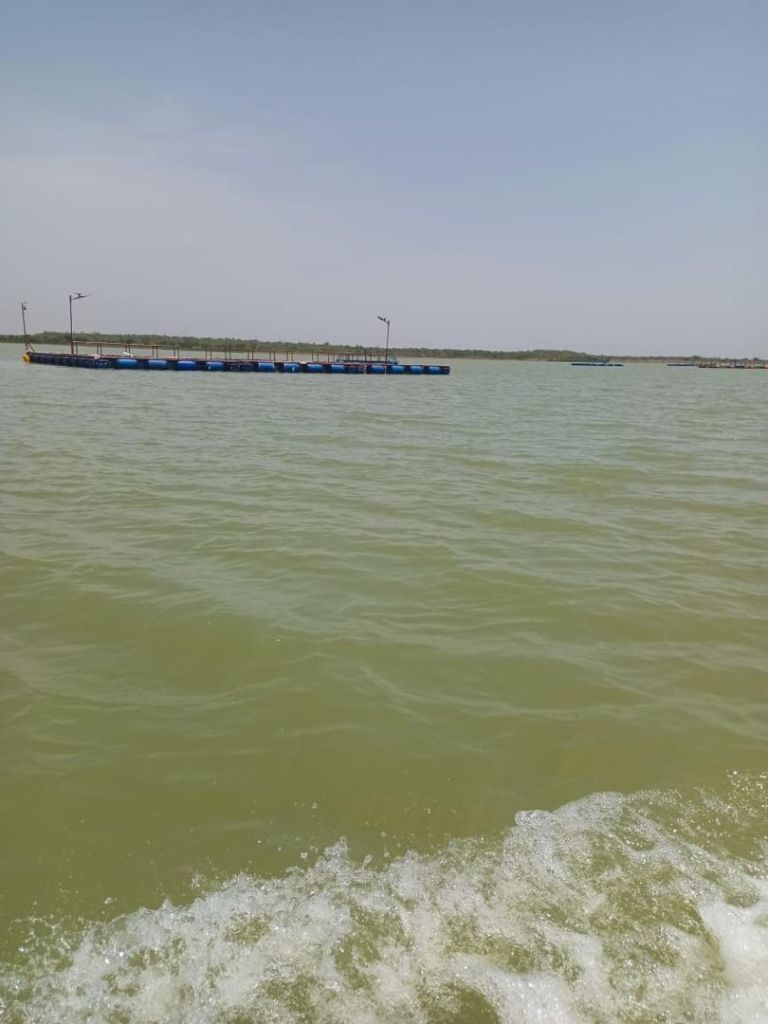 Vue panoramique des cages flottantes CODBA